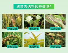 土壤微量元素的測(cè)定方法