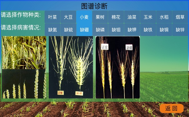 土壤快速檢測(cè)儀